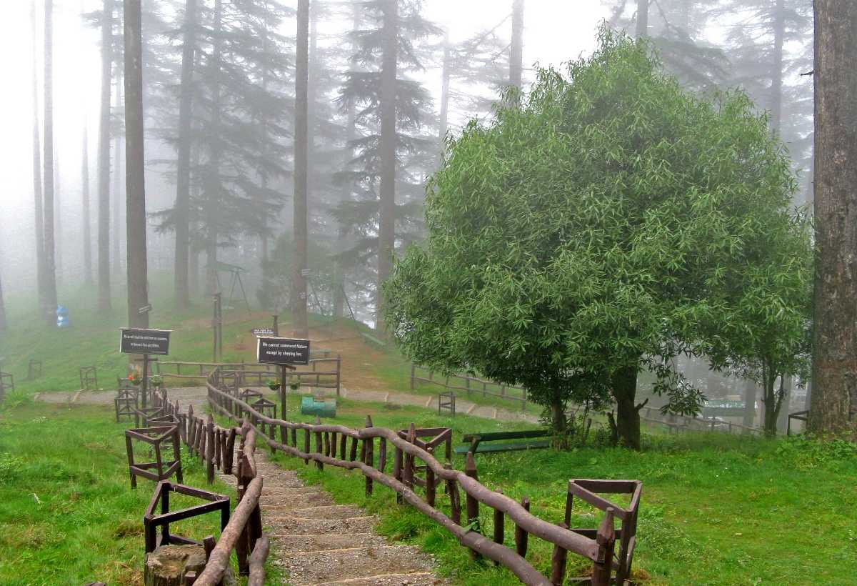 Dhanaulti – Explore The Most Beautiful Alpine Forests