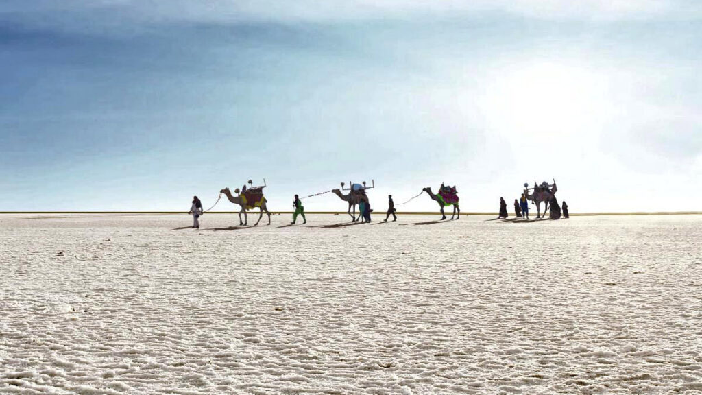 The Most Beautiful Stretch Of White Desert Kutch