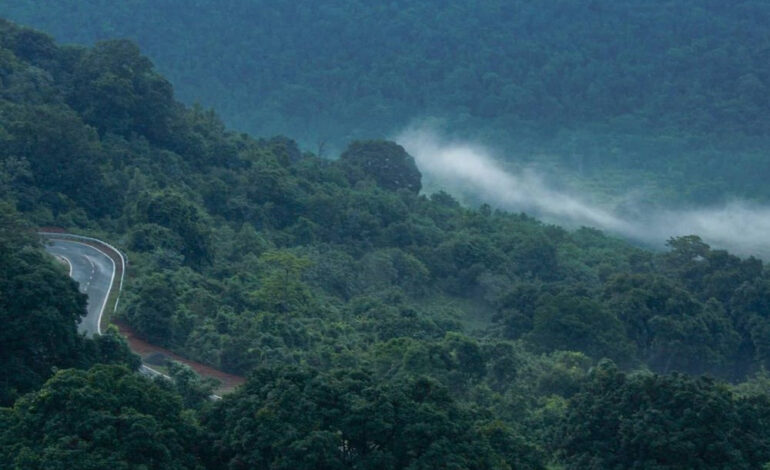 Eco Tourism Places in Odisha