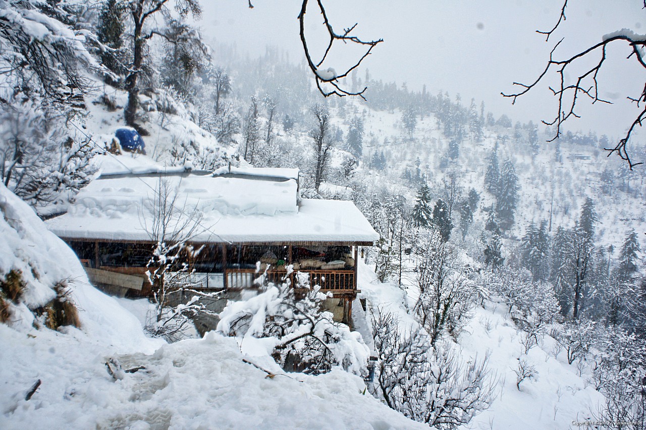 Best Tour Package in India: Shimla Kullu Manali