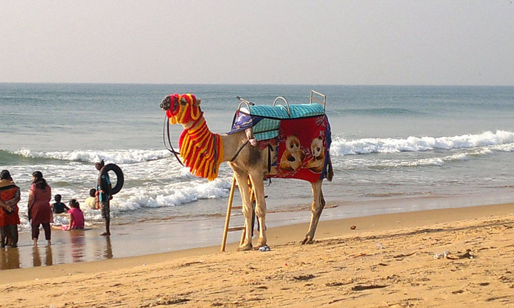 Puri Beach Odisha