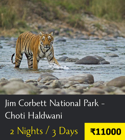 Jim-Corbett-Tour-Packages-from-Delhi